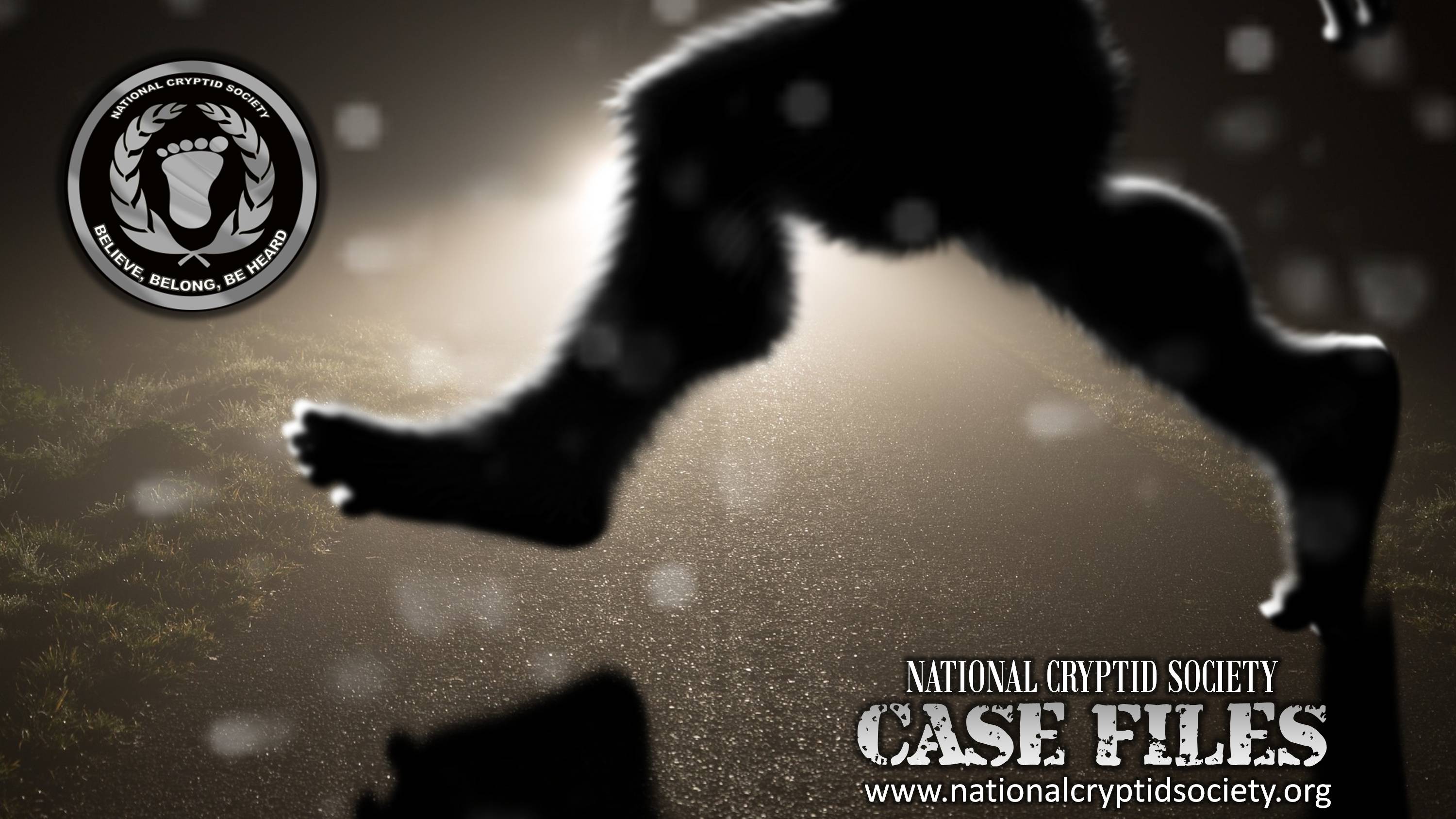 NCS Case File 43